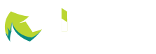 Neo Electric